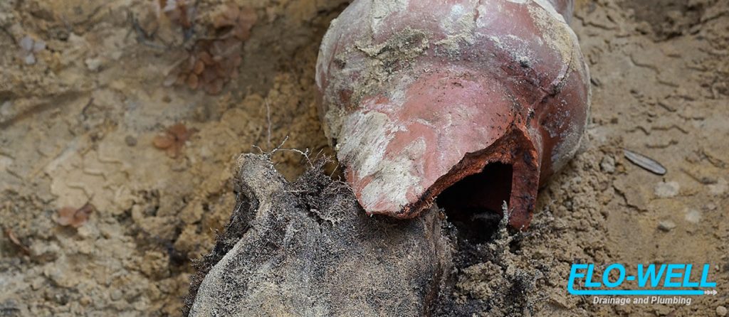 5 Warning Signs of a Collapsed Drain